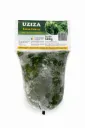 Uziza
